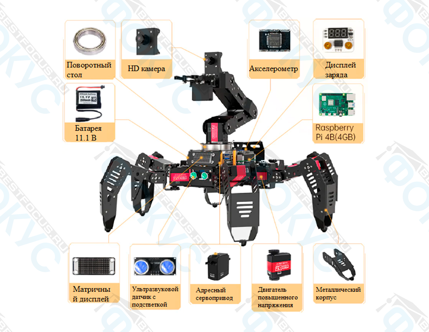 Комплектация образовательного робота с манипулятором: Raspberry Pi, HD-камера, аккумулятор, сервоприводы, датчики, дисплей и металлический корпус