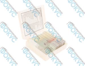 Комплект микропрепаратов Анатомия для кабинета биологии в коробке