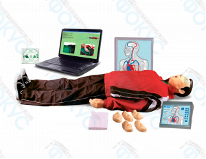 Тренажер СЛР взрослого и ребенка для практических занятий в кабинете ОБЗР