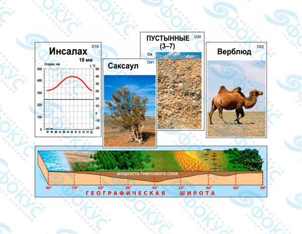 Модель аппликация природные зоны для кабинета географии