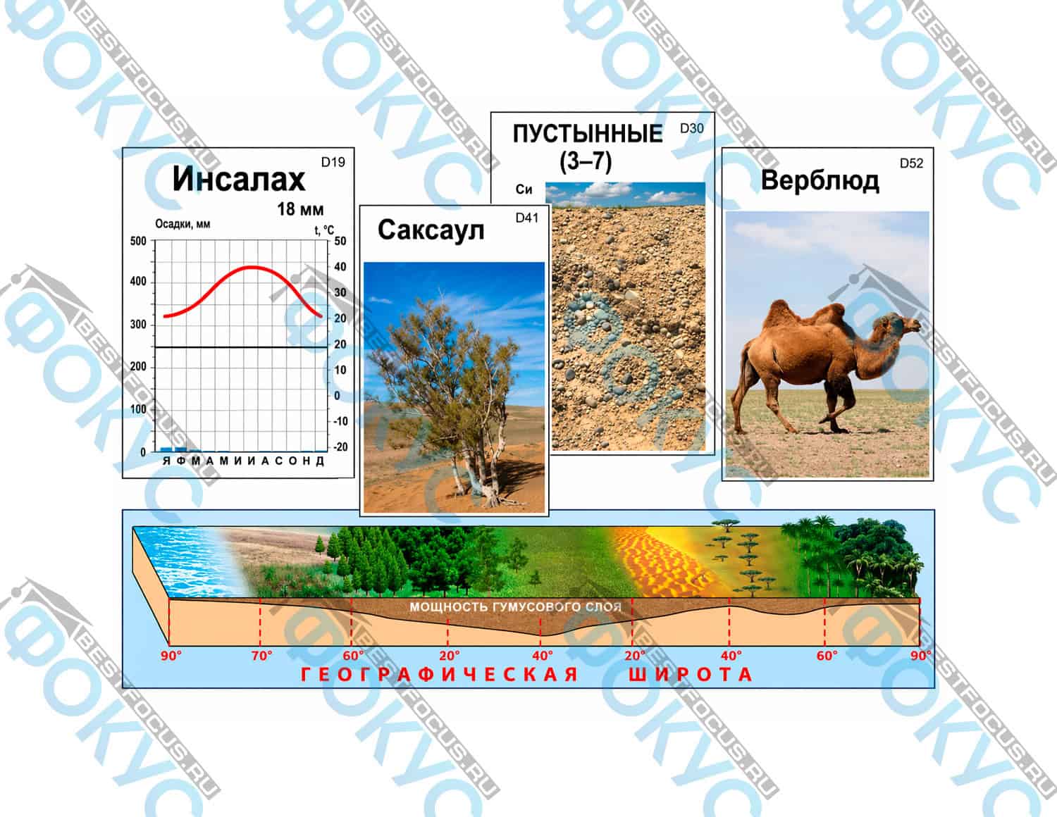 Модель аппликация природные зоны для кабинета географии