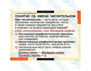 Таблицы демонстрационные по числительному и местоимению для кабинета школы
