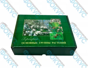 Гербарий основные группы растений для кабинета биологии