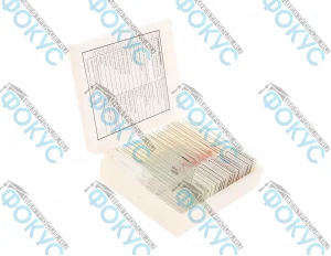 Комплект микропрепаратов Анатомия для кабинета биологии в коробке