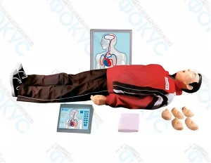 Тренажер реанимации манекен для практики СЛР в кабинете ОБЗР