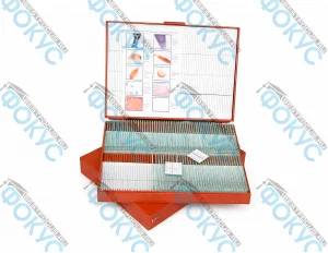 Комплект микропрепаратов по общей биологии для кабинета биологии