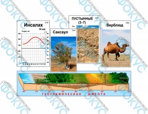 Модель аппликация природные зоны для кабинета географии