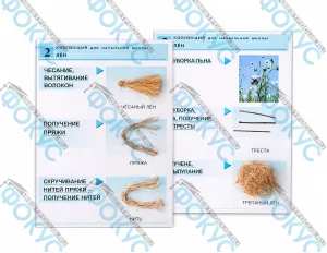 Коллекция лен для начальной школы для уроков технологии