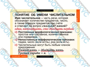 Таблицы демонстрационные по числительному и местоимению для кабинета школы