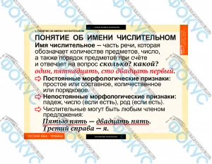Таблицы демонстрационные по числительному и местоимению для кабинета школы